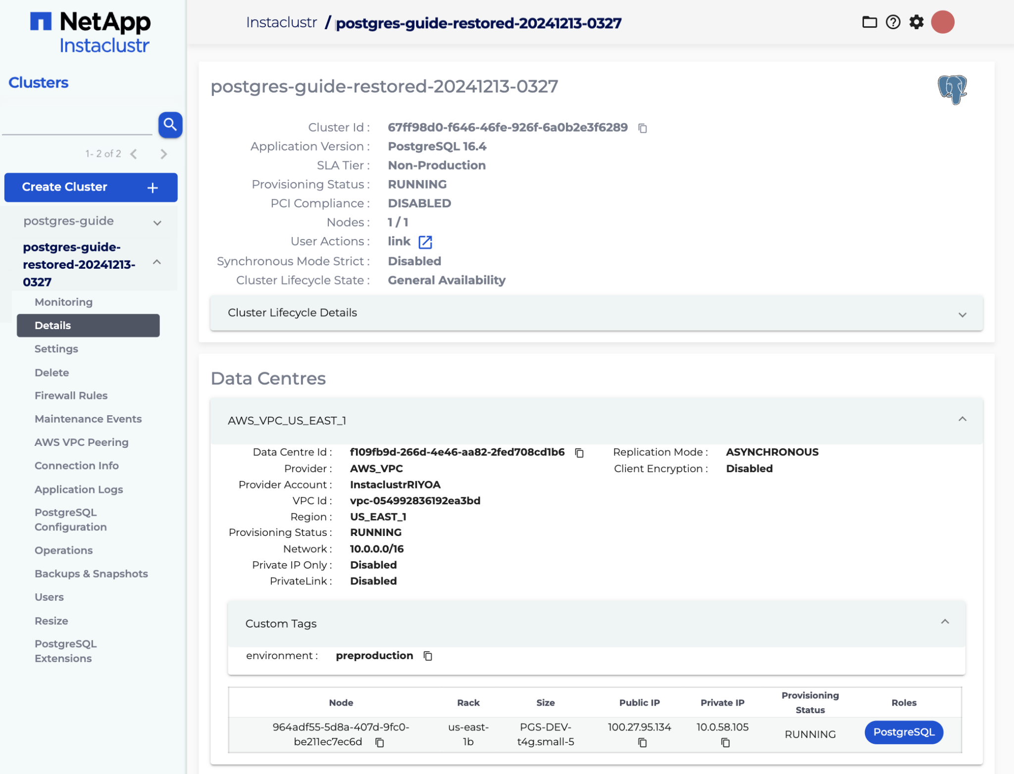 The cluster will complete the restore once the Provisioning Status is Running. You can see cluster information in the Details tab