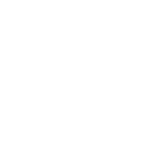 Dynamic Scaling