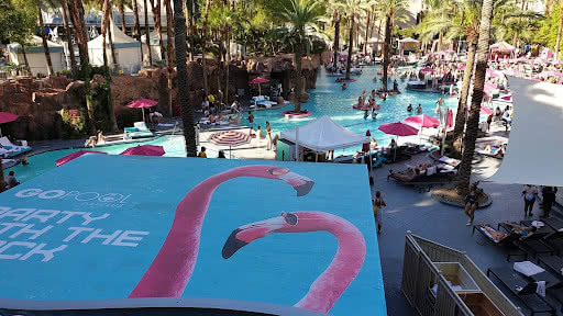 Flamingo Hotel Pool
