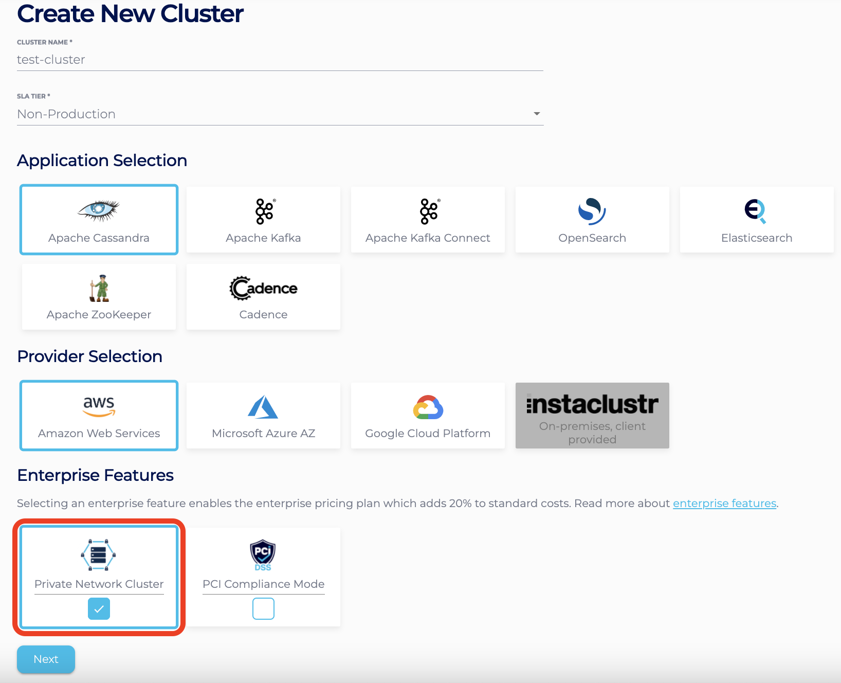 Tick the Private Network Cluster feature to include this option on your cluster.