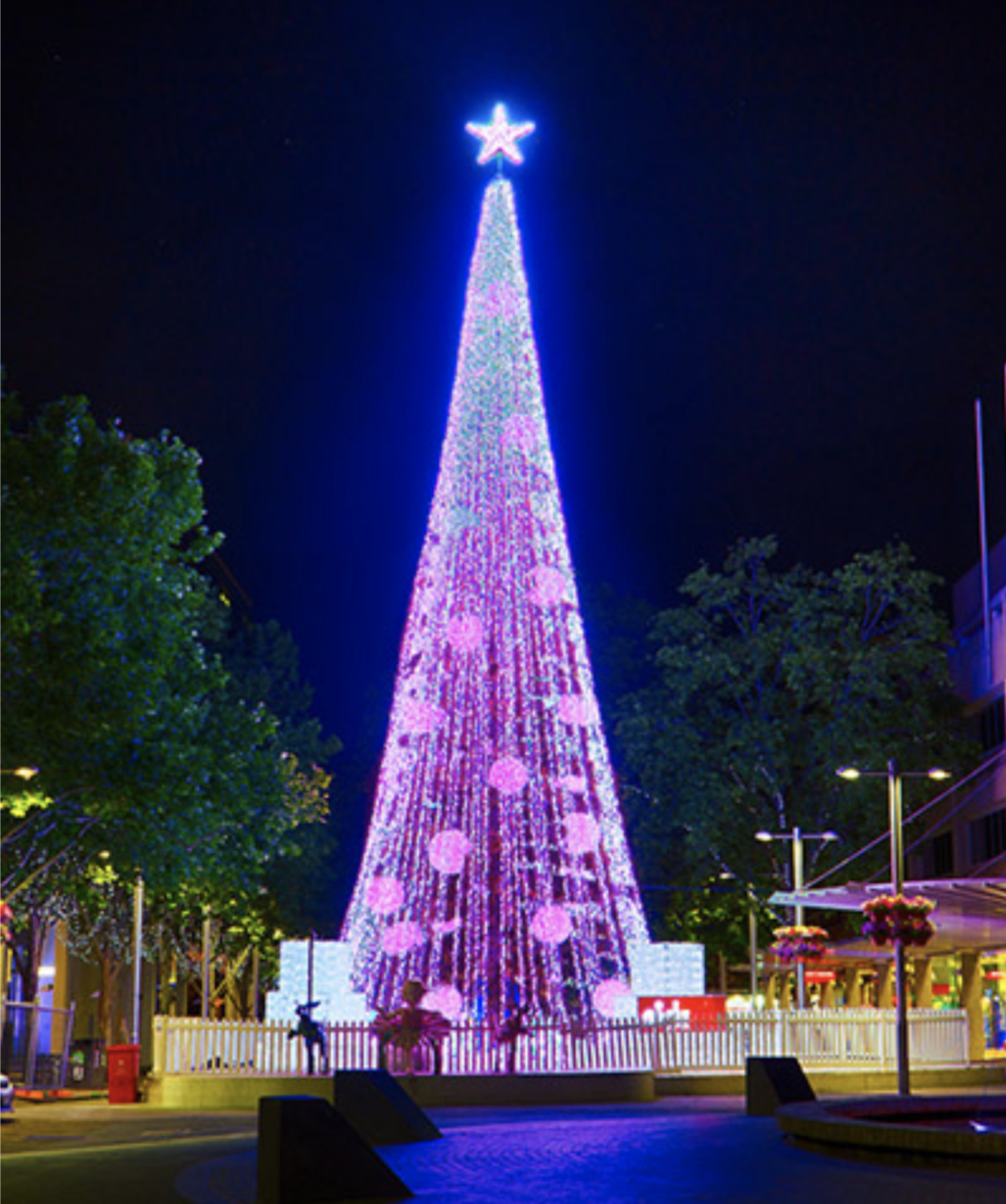 Christmas Tree Canberra