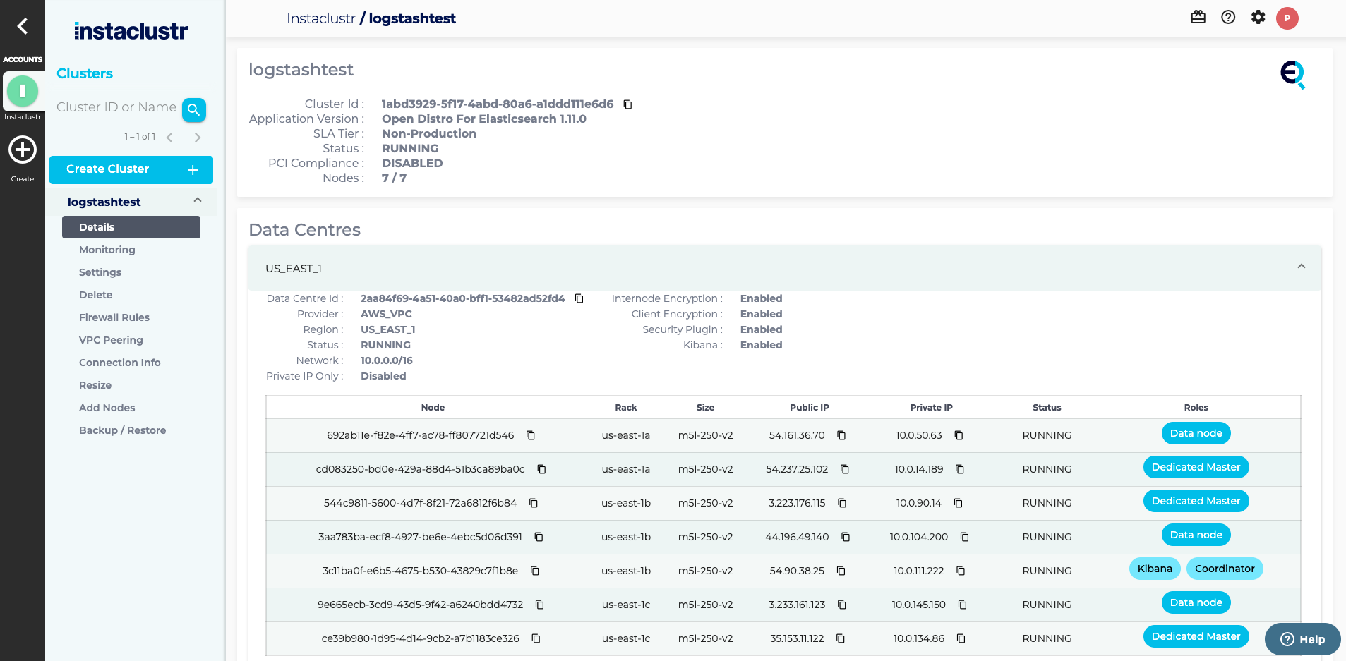 Screenshot: Elasticsearch Cluster Details