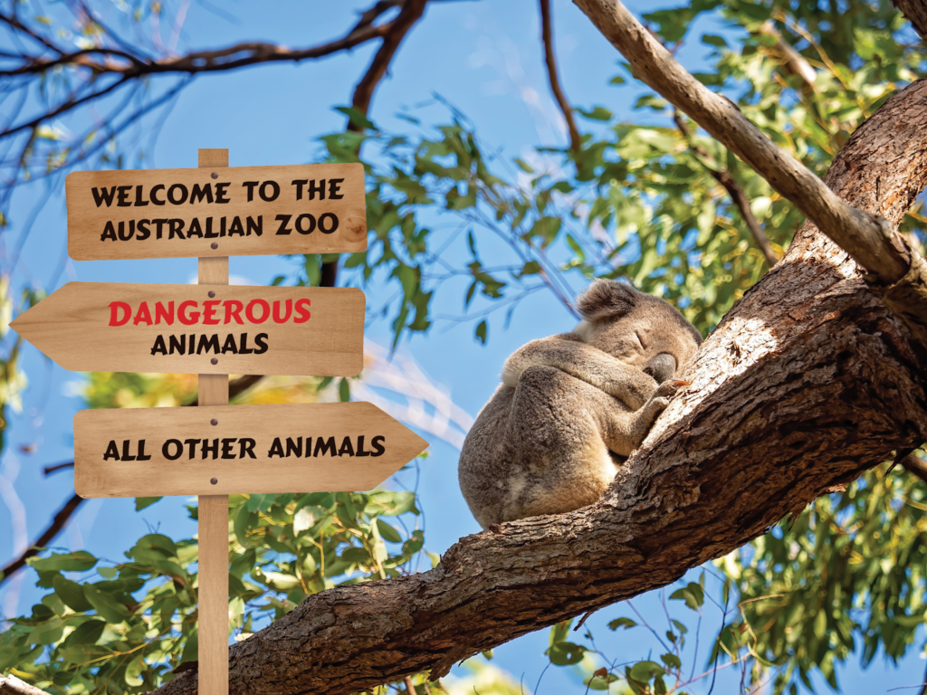 Welcome to the Australian Zoo