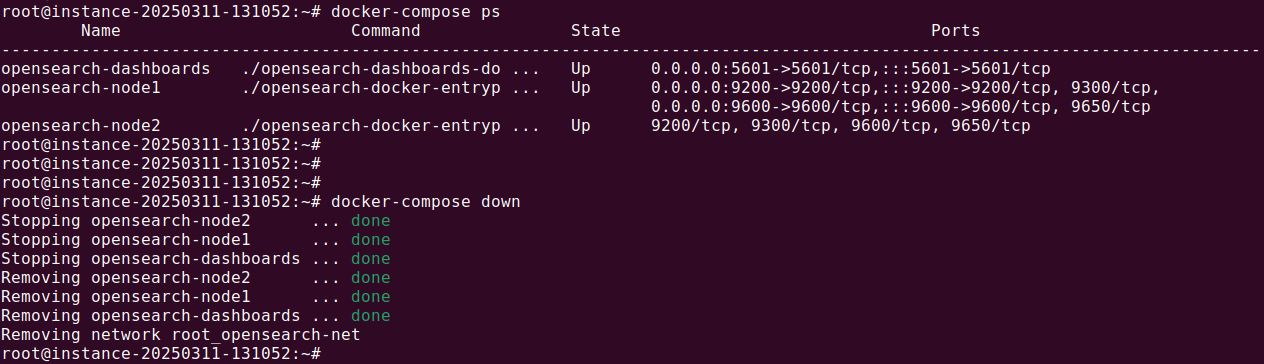Docker Opensearch tutorial localhost screenshot